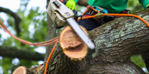Tree service invoicing software with Invoiv